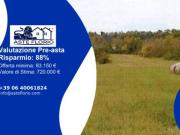 Immobile in asta di 40880 m in vendita a Orte