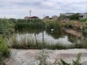 Immobile in asta di 4192 m in vendita a Scordia