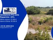 Immobile in asta di 4209 m in vendita a Guastalla