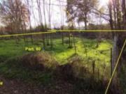 Immobile in asta di 44222 m in vendita a Montevarchi