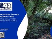 Immobile in asta di 4470 m in vendita a Villa Guardia