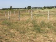 Immobile in asta di 45880 m in vendita a Pomezia