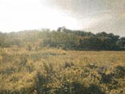 Immobile in asta di 4630 m in vendita a Sant'Ippolito