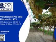 Immobile in asta di 46740 m in vendita a Licodia Eubea