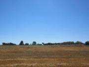 Immobile in asta di 49480 m in vendita a Crotone