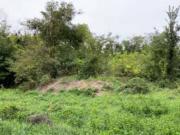 Immobile in asta di 49900 m in vendita a Mantova