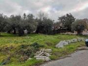 Immobile in asta di 5000 m in vendita a Fara in Sabina