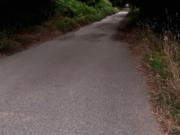 Immobile in asta di 500 m in vendita a Serra San Bruno