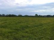 Immobile in asta di 5207 m in vendita a Cassola