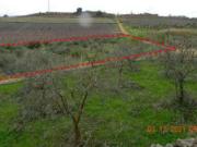 Immobile in asta di 5210 m in vendita a Agrigento