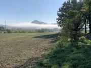 Immobile in asta di 533870 m in vendita a Cagli