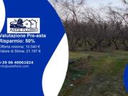Immobile in asta di 5369 m in vendita a Capriglia Irpina