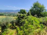 Immobile in asta di 5380 m in vendita a Montefalco