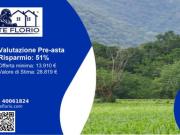 Immobile in asta di 56030 m in vendita a Capolona