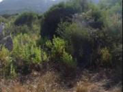 Immobile in asta di 5745 m in vendita a Olbia