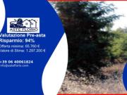 Immobile in asta di 5760 m in vendita a Piacenza