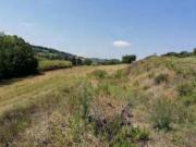 Immobile in asta di 5815 m in vendita a Potenza Picena