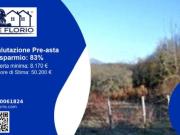 Immobile in asta di 59993 m in vendita a Apecchio