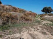 Immobile in asta di 6240 m in vendita a Potenza Picena