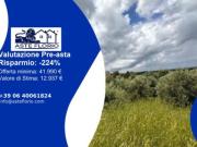 Immobile in asta di 6285 m in vendita a Ciampino