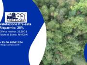 Immobile in asta di 71337 m in vendita a Belluno