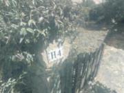 Immobile in asta di 75 m in vendita a Palau