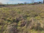 Immobile in asta di 806 m in vendita a Forlì