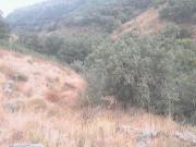 Immobile in asta di 879 m in vendita a Aidone