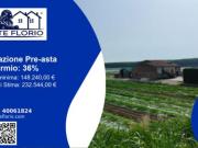 Immobile in asta di 89440 m in vendita a Sermide e Felonica