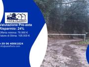 Immobile in asta di 98332 m in vendita a Siena