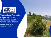 Immobile in asta di 9885 m in vendita a Macerata Feltria