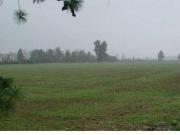 Immobile in vendita a Alessandria AL