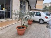 Immobile in vendita a Anagni FR