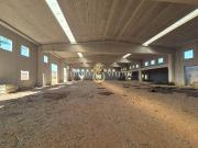 Immobile in vendita a Bari BA