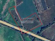 Immobile in vendita a Bassano in Teverina VT