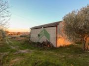 Immobile in vendita a Bellante TE