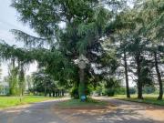 Immobile in vendita a Bologna BO