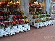 Immobile in vendita a Borgo San Lorenzo FI