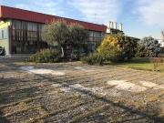 Immobile in vendita a Borgo Virgilio MN