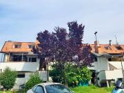 Immobile in vendita a Bubbiano MI