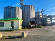 Immobile in vendita a Cascina PI
