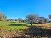 Immobile in vendita a Castellana Grotte BA