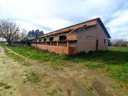 Immobile in vendita a Castiglione del Lago PG