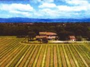 Immobile in vendita a Castiglione del Lago PG