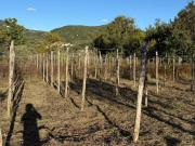 Immobile in vendita a Cava de' Tirreni SA