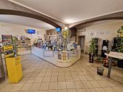 Immobile in vendita a Cremona CR