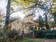 Attività / Licenza in vendita a Fauglia PI