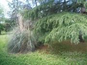 Immobile in vendita a Firenze FI