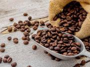 Immobile in vendita a Firenze FI