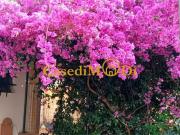 Immobile in vendita a Livorno LI